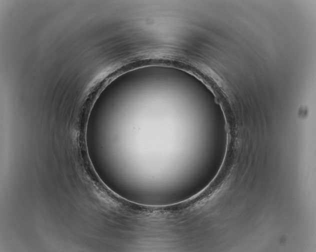 X0000094330922200711091401