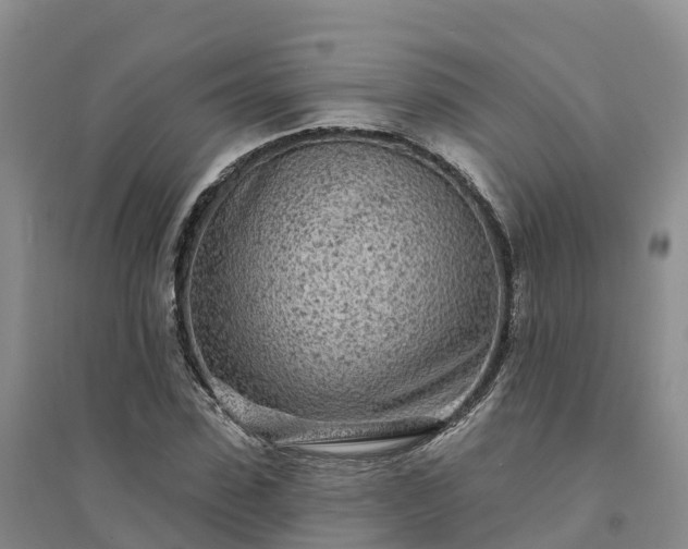 X0000094330923200711091401