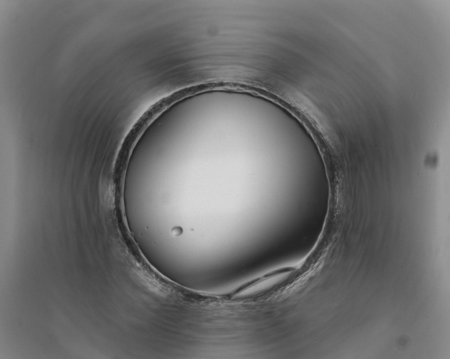 X0000094330924200711091401