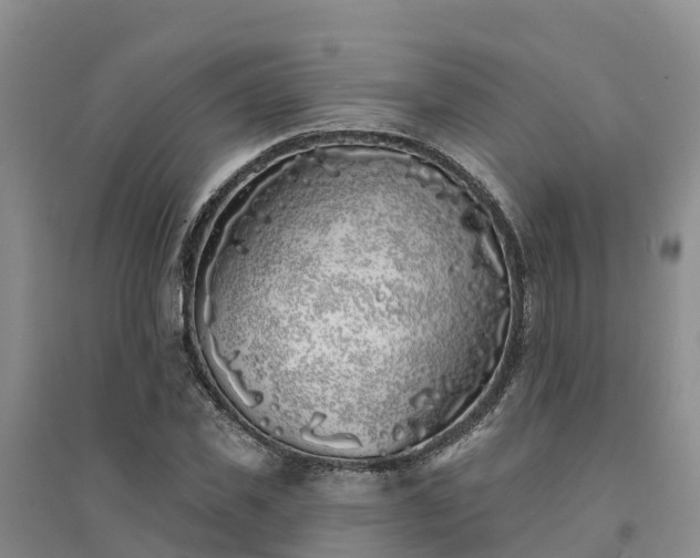 X0000094330925200711091401
