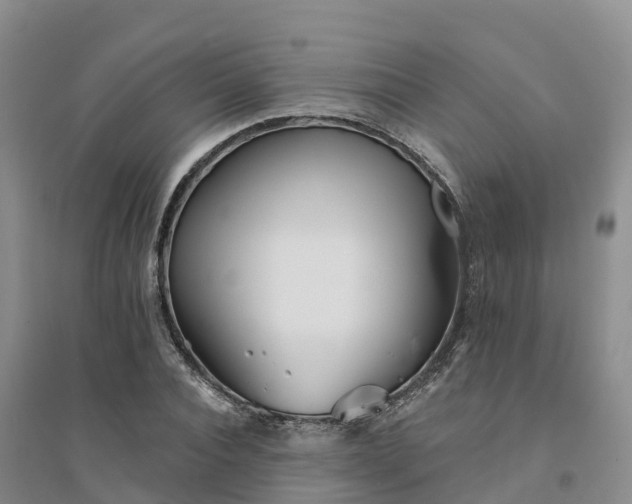 X0000094330928200711091401