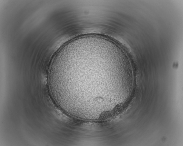 X0000094330929200711091401