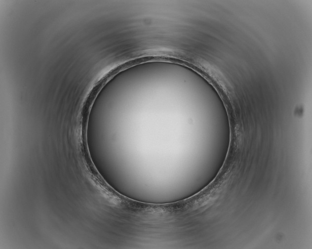 X0000094330931200711091401