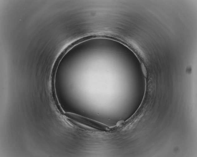 X0000094330932200711091401