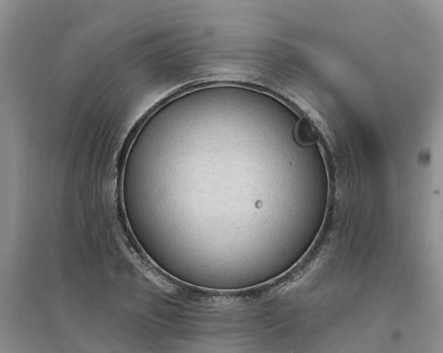 X0000094330933200711091401