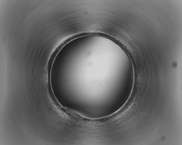 X0000094330934200711091401