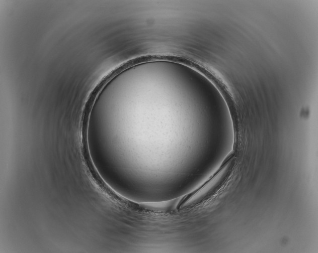 X0000094330935200711091401