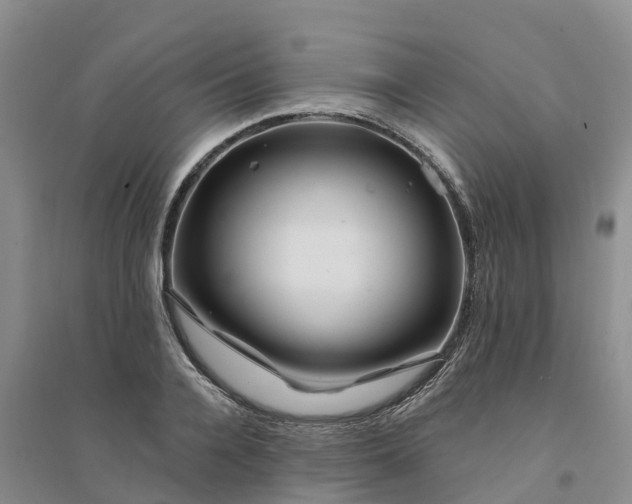 X0000094330936200711091401