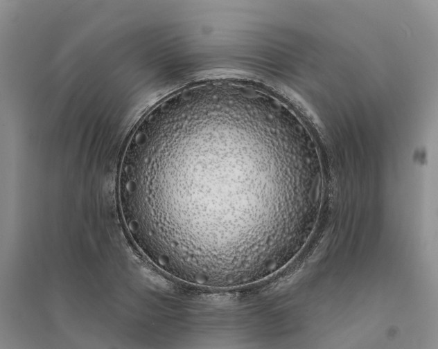 X0000094330937200711091401