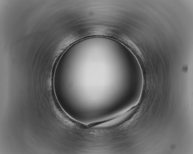 X0000094330938200711091401