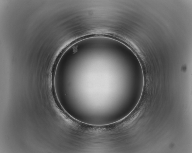 X0000094330939200711091401