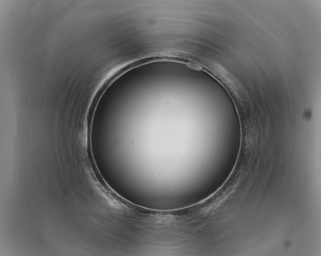 X0000094330940200711091401