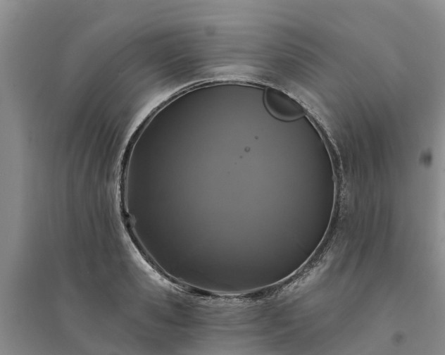X0000094330941200711091401