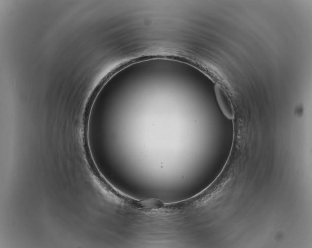X0000094330942200711091401