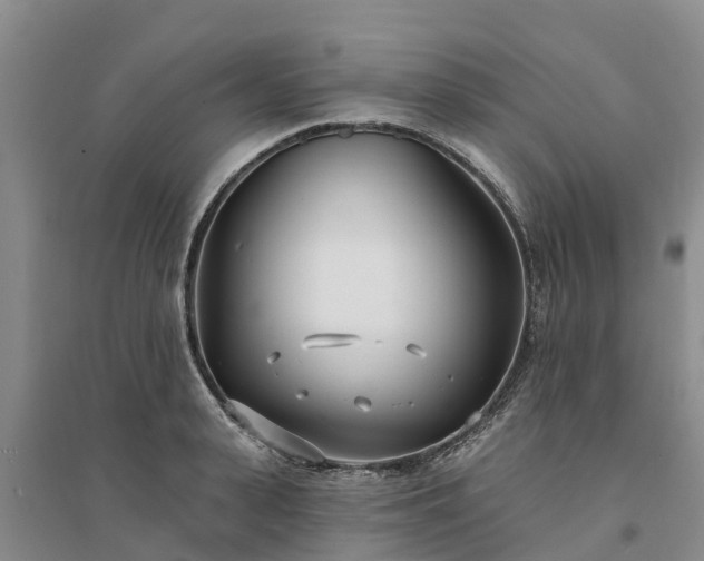 X0000094330943200711091401