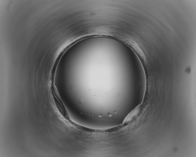 X0000094330944200711091401