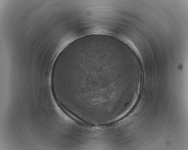 X0000094330946200711091402