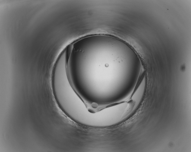 X0000094330950200711091402