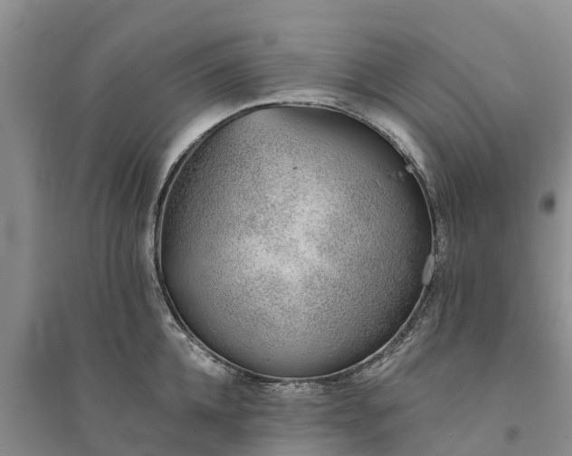 X0000094330952200711091402