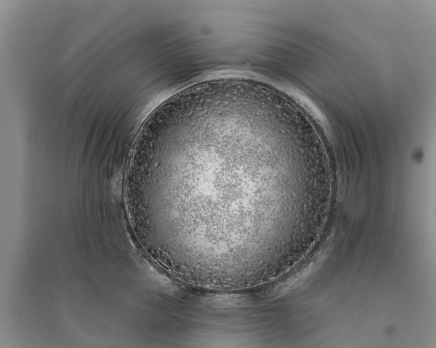 X0000094330953200711091402