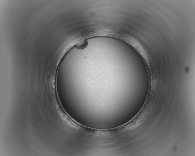 X0000094330954200711091402