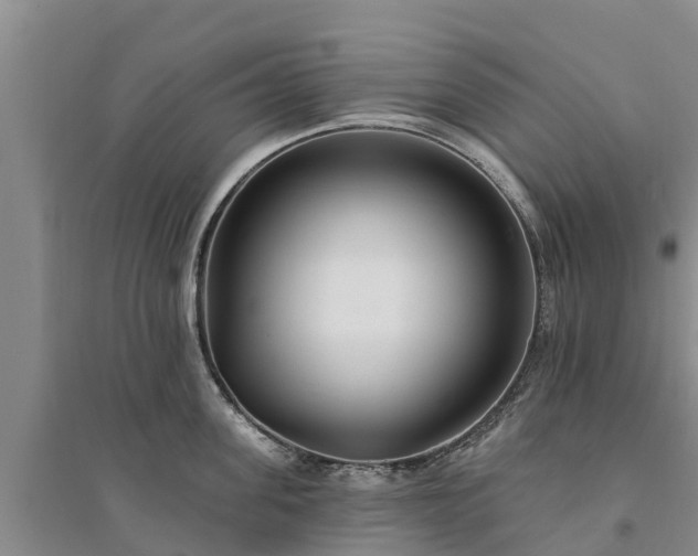 X0000094330955200711091402