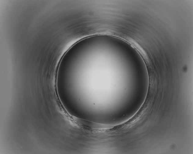 X0000094330956200711091402