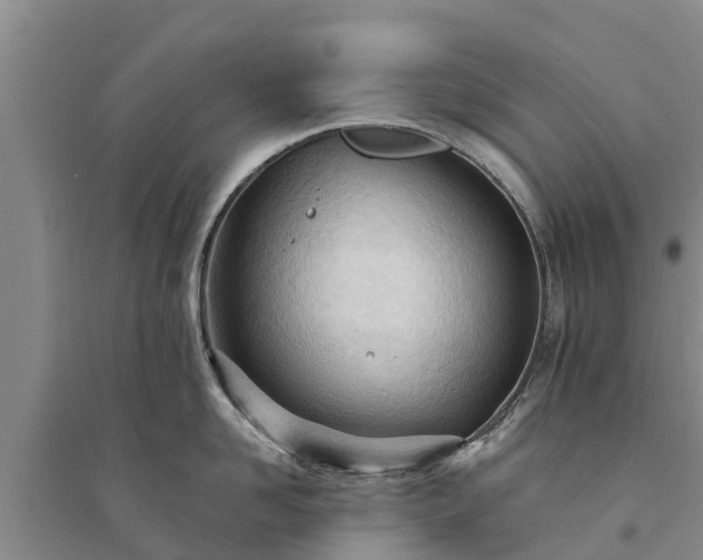 X0000094330958200711091402