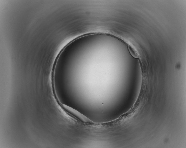 X0000094330959200711091402
