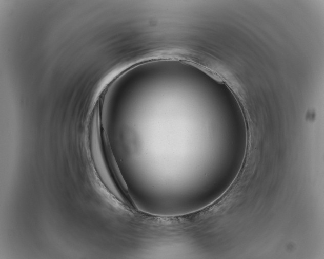 X0000094330960200711091402