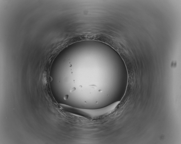 X0000094330962200711091401
