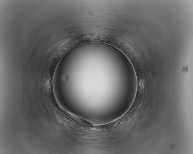 X0000094330963200711091401