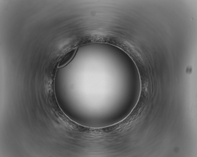 X0000094330964200711091401