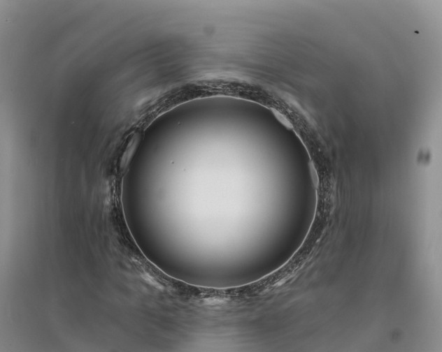 X0000094330965200711091401
