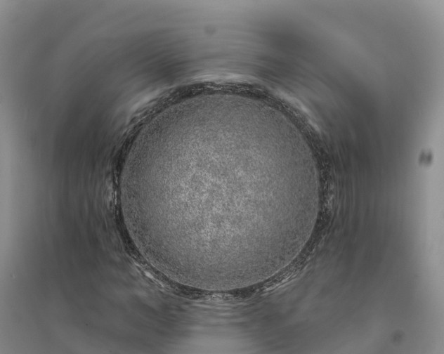 X0000094330966200711091401