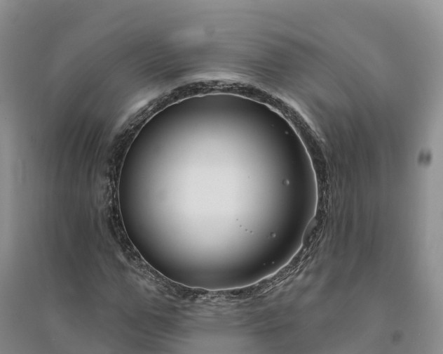 X0000094330967200711091401