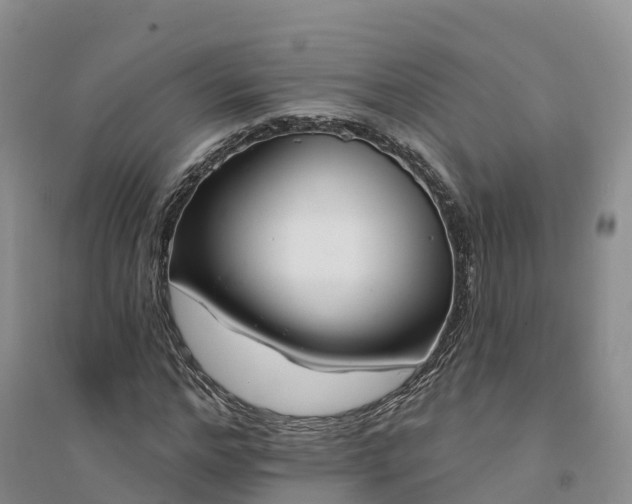 X0000094330968200711091401
