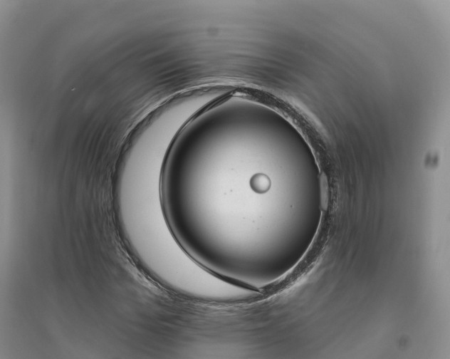 X0000094330969200711091401