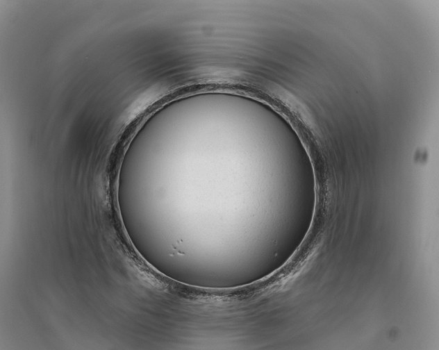 X0000094330970200711091401