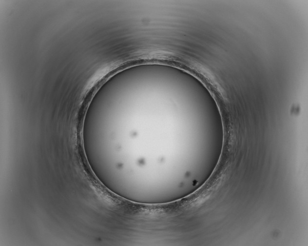 X0000094330978200711091400