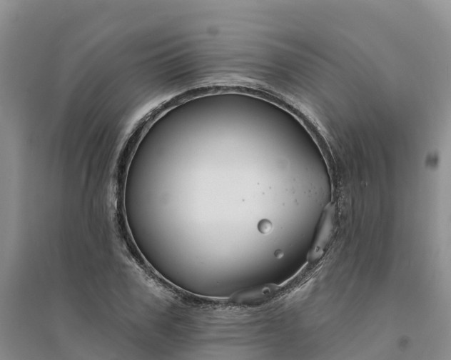 X0000094330979200711091400