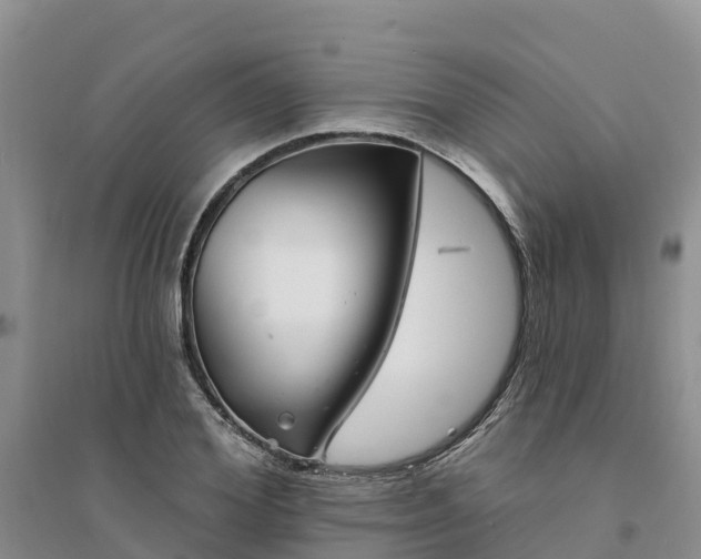 X0000094330980200711091400