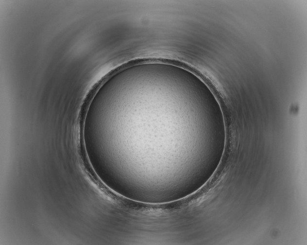 X0000094330982200711091400