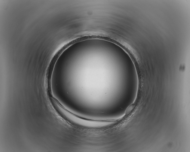 X0000094330983200711091400