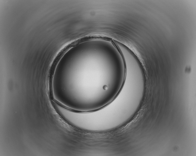 X0000094330984200711091400