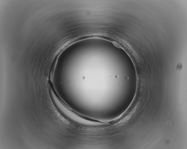 X0000094330985200711091400