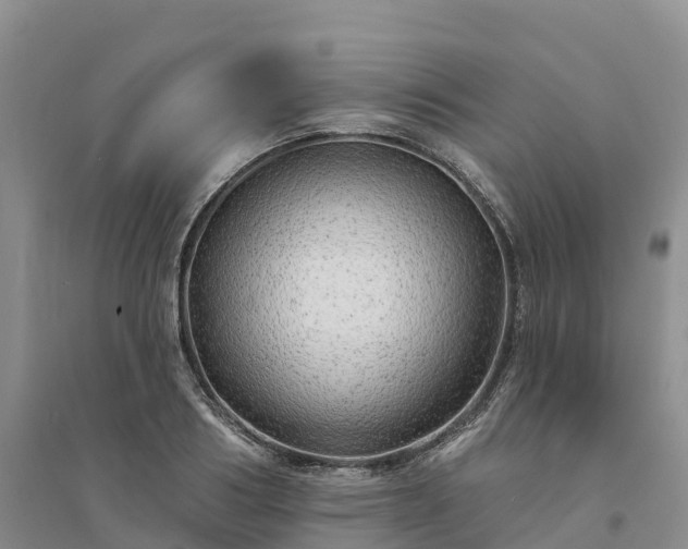 X0000094330986200711091400