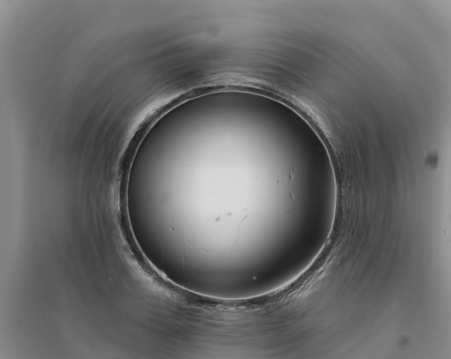 X0000094330987200711091400