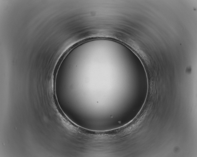 X0000094330988200711091400