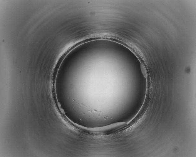 X0000094330989200711091400